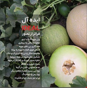 ایده ال